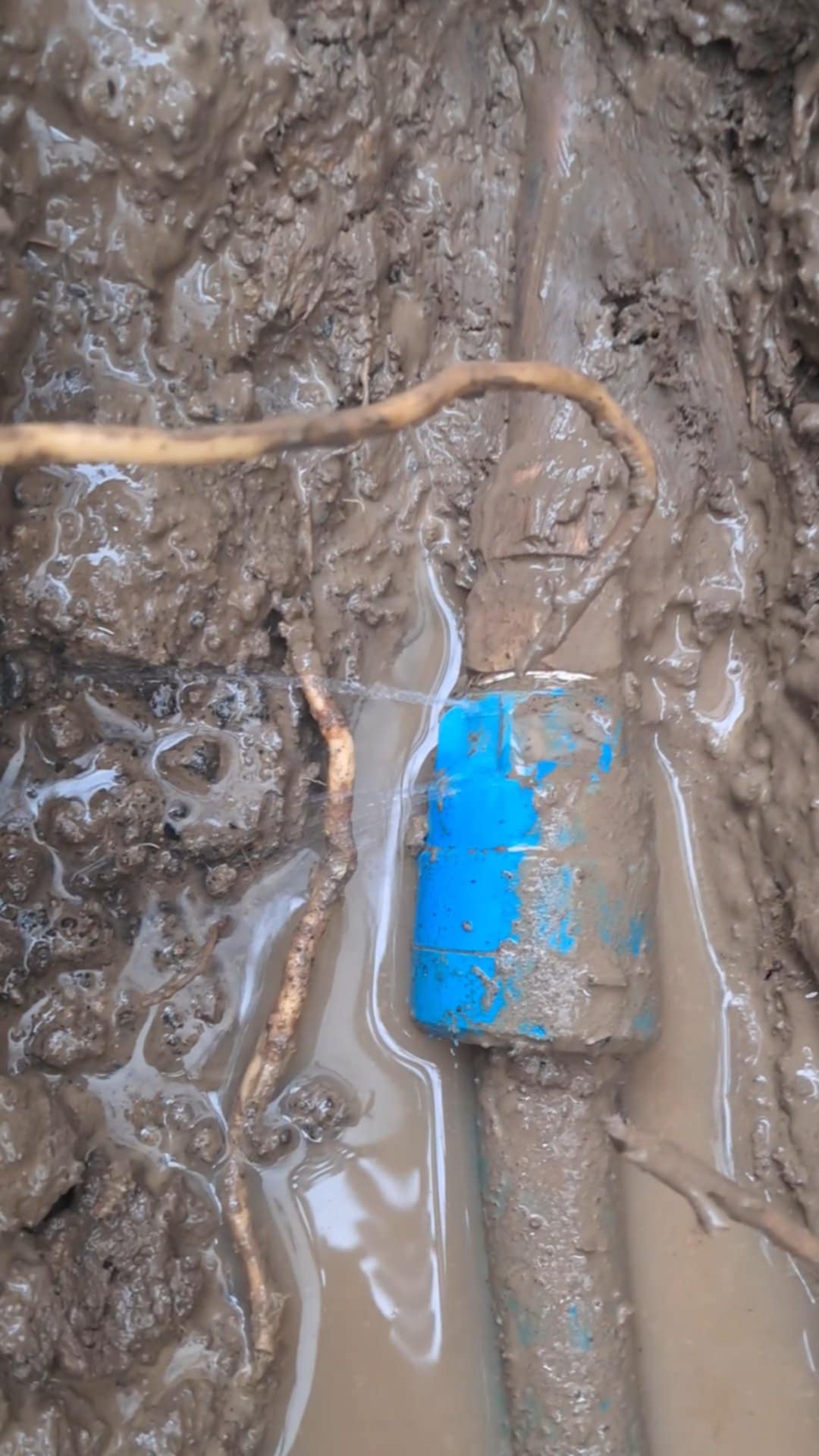 Underground Grass Area Leak Repair