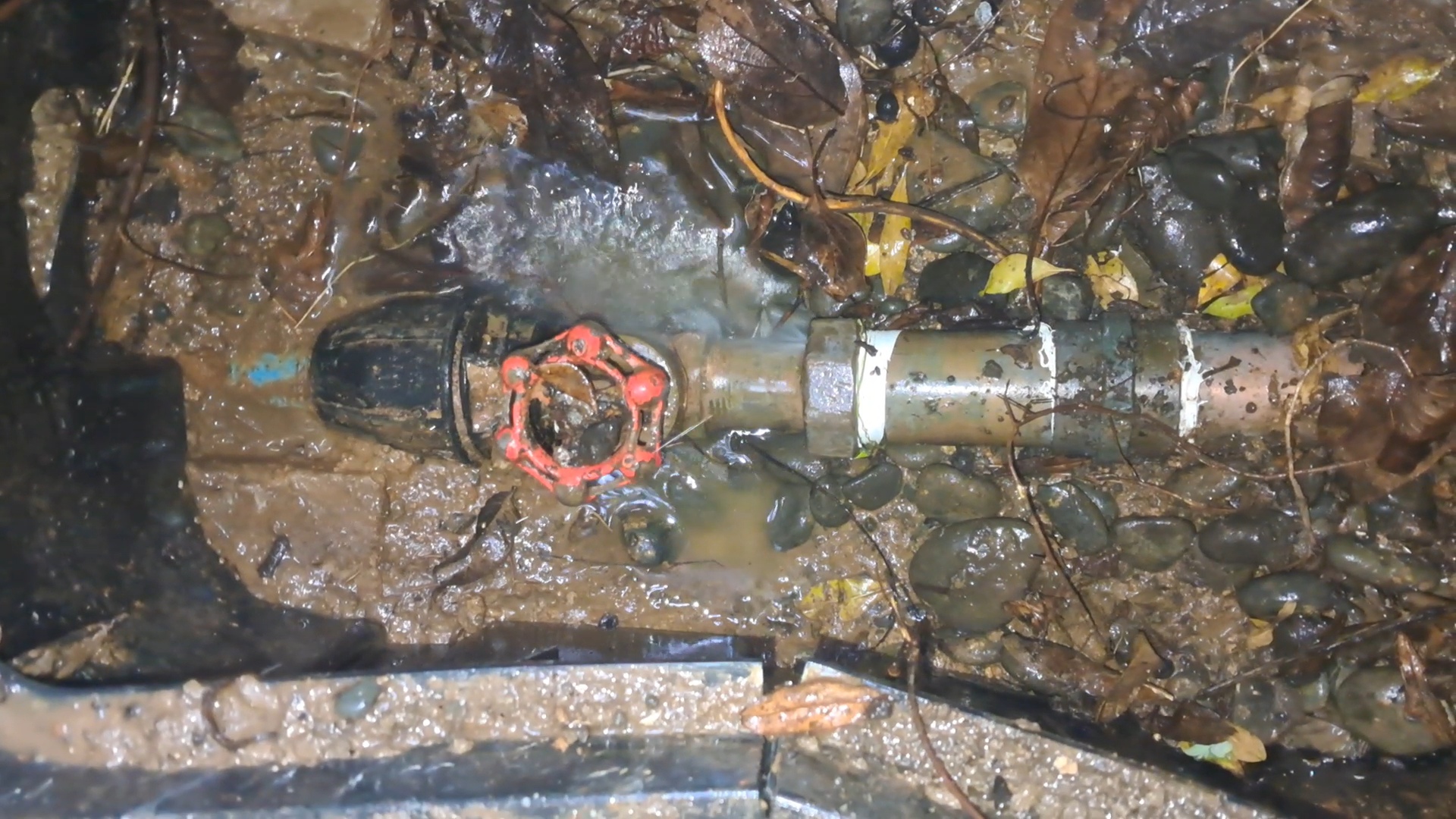 Underground Grass Area Leak Repair - Documentation 2