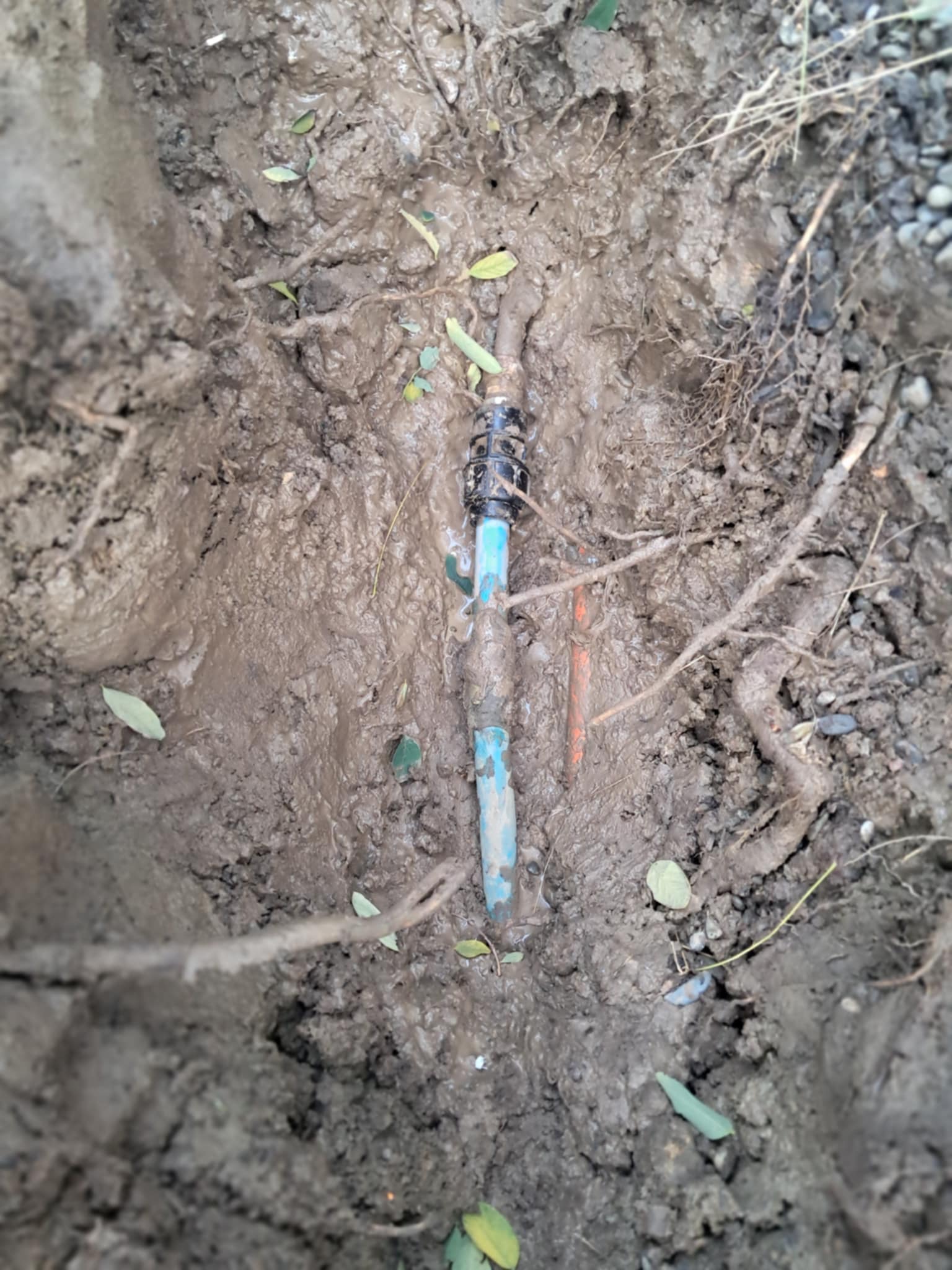 Underground Grass Area Leak Repair - Documentation 5